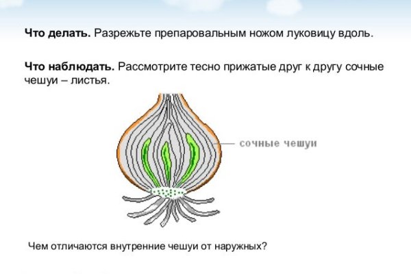 Кракен шоп даркнет