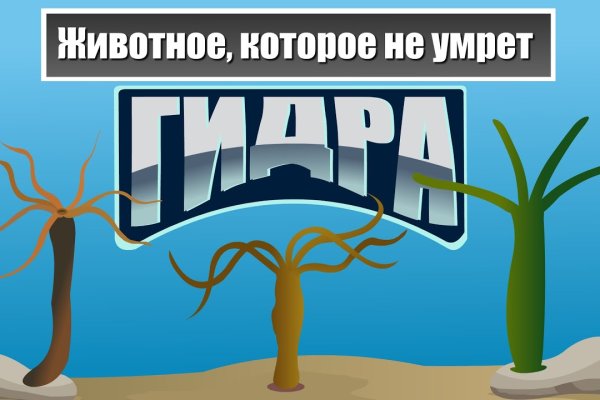 Ссылка на даркнет в тор