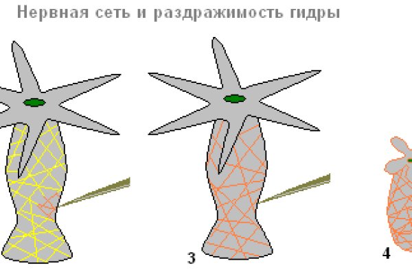 Кракен 16