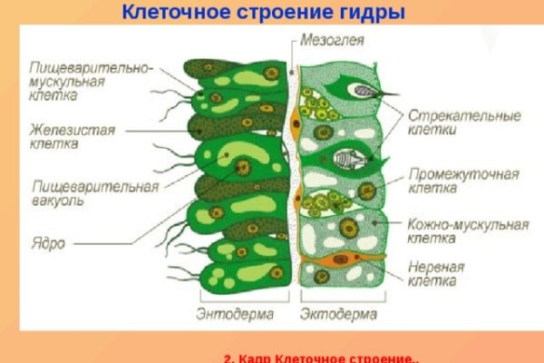 Ссылки на сайты в даркнете