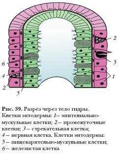 Кракен вход рабочий