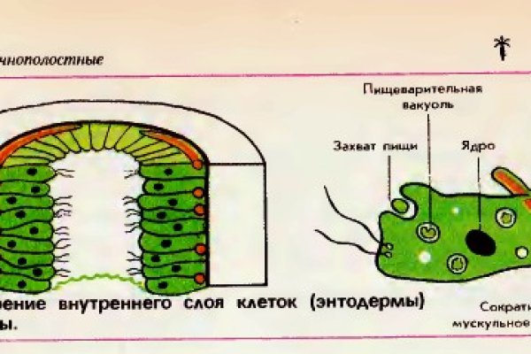 Кракен площадка